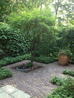 Fontein schaal in border