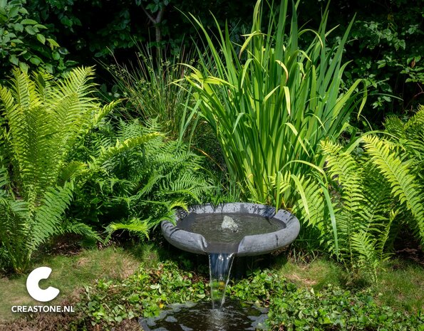 Wasserschalen selbst zusammenstellen 